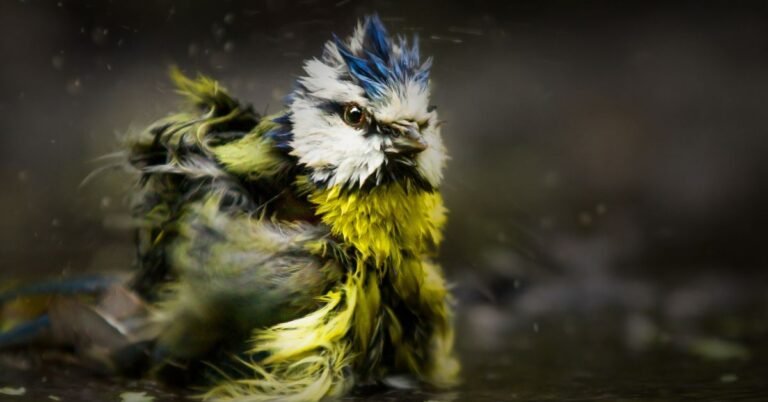 Scariest Bird