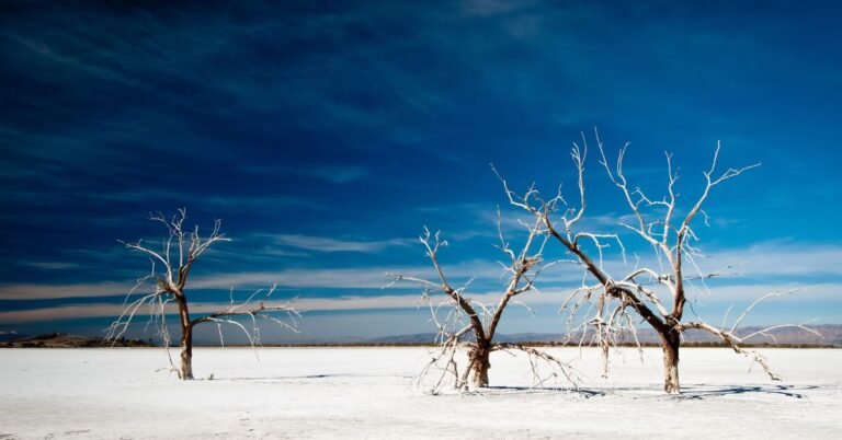 Snow in Desert
