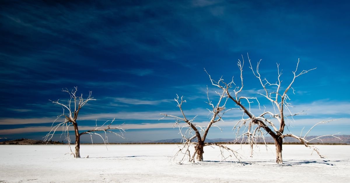 Snow in Desert