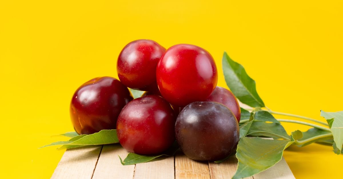 The Dark Side of Cherry Plums