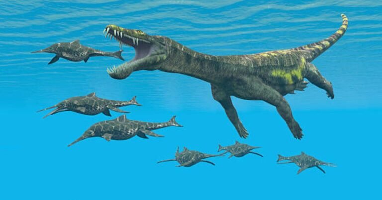 Water Dinosaur Names